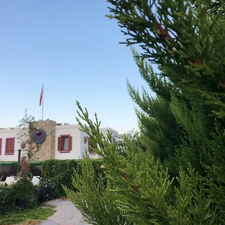 Pepecura ボドルム