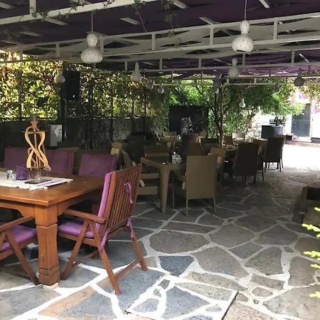 Pepecura モーテル ボドルム