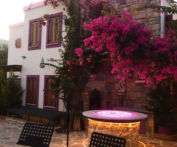 Pepecura Мотель