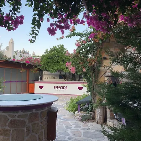 Pepecura בודרום