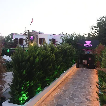 Μοτέλ Pepecura